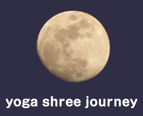 RYT200も習得可能！フィットネスやエアリアルヨガの体験なら平塚市エリアの当店へ！